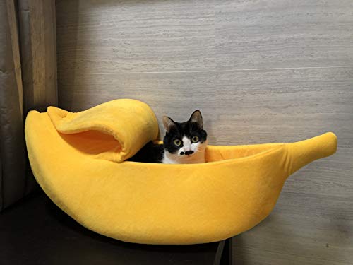 banana cat bed