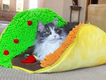 Taco Bed for Pet