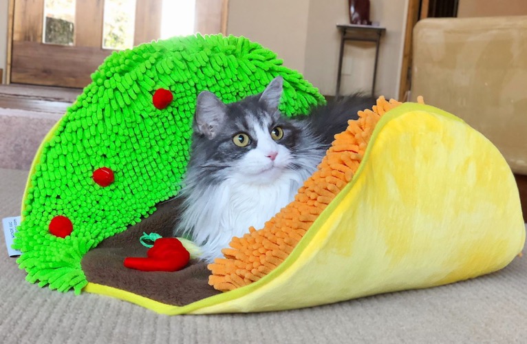Taco Bed for Pet